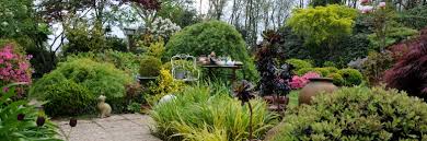 Personnes aujourd'hui généralement placé une grande quantité de effort tout au long. Nos Plantes Et Fleurs Vivaces Pour Bordure Roue Pepinieres