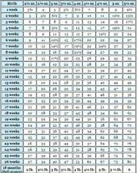 Unfolded Chihuahua Weight And Growth Chart Weight And Bmi