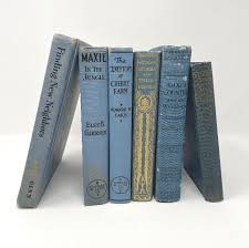 Previous owners name and date on Blue Vintage Books The Curious Cowgirl Vintage Shop