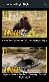 The oldest video footage from national geographic was a failed attempt to reach the north pole in 1903 known as the ziegler polar expedition. National Geographic Videos Latest Nat Geo For Android Apk Download