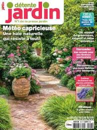 Geranium Entretien Rempotage Et Bouturage En 2020 Detente Jardin Jardins Boutures