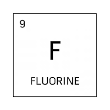 Black And White Element Cell For Fluorine Element Project Science Fair Projects Cartoon Body