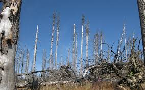 Check spelling or type a new query. Lluvia Acida Contaminacion Ambiental Bioenciclopedia