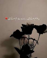 Urdu quotes | hurra tweets. Pin On Broken Heart