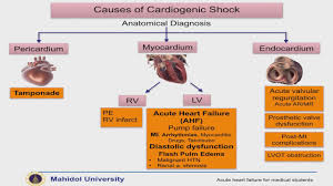 การ พยาบาล cardiogenic shock 2