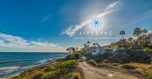 Please contact info@geocentricmedia.com for more information. Lifesync Malibu Rehab Luxury Addiction And Dual Diagnosis Retreats