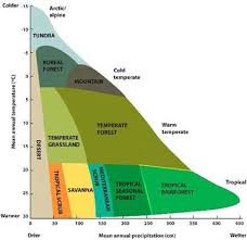 temperature vs precipitation in the generation of biomes