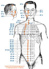 st stomach meridian graphic chinese medicine theory