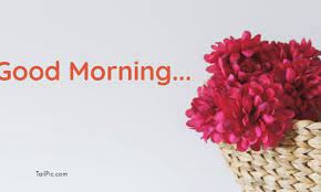 You can free download and share these good morning images on facebook, whatsapp, instagram and other social media. 38 Inspirational Good Morning Quotes With Beautiful Images Tailpic