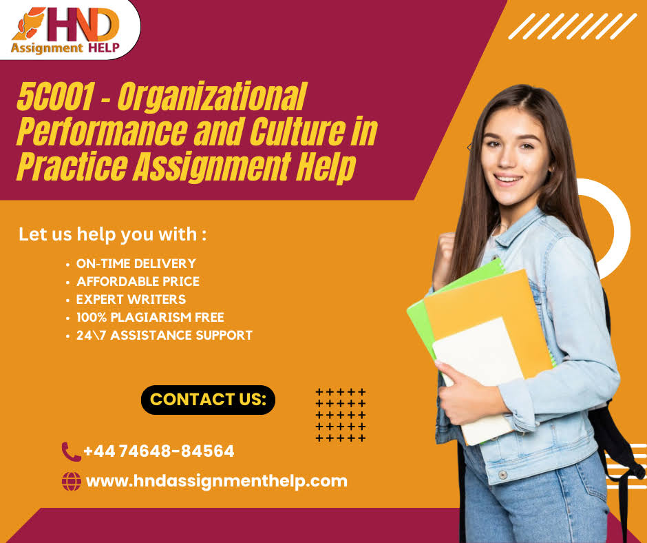5C001 - Organizational Performance and Culture in Practice product image
