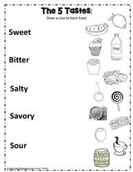 the five senses worksheets