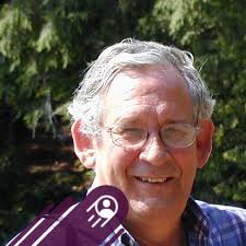 The bald eagle's preferred location is in the marsh region of western Lake  Erie.