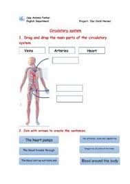 12.04.2019 · language of anatomy worksheet. Circulatory System Language English Grade Level Grade 2 School Subject Natural Science Main Content Res In 2020 Respiratory System Vocabulary Worksheets Vocabulary