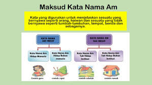 Kata nama am tak hidup institusi kata nama jenis ini terdiri daripada perkataan yang merujuk badan atau institusi yang bersifat tidak hidup tetapi mendukung makna nama am. Bahasa Melayu Sk Tahun 5 Unit 1 Tatabahasa Pusat Transit Youtube