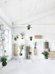 Pin By Pistils Nursery On Plant Life Hanging Garden Plants Plant Projects