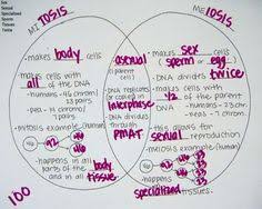 When a cancer tumor spreads through the body through the circulatory system, the tumor is said to have. 34 Mitosis Y Meiosis Ideas Mitosis Meiosis Biology Lessons