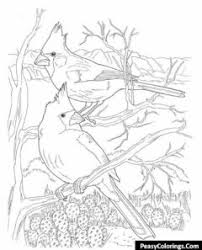 There are tons of great resources for free printable color pages online. Birds Coloring Pages To Print Online Easy Peasy Colorings
