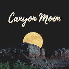 Watch the video for canyon moon from harry styles's fine line for free, and see the artwork, lyrics and similar artists. Stream Canyon Moon Harry Styles Cover By Gracie Listen Online For Free On Soundcloud