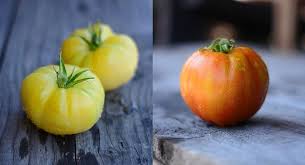 Some experts estimate there are up to 25,000 tomato varieties to choose from. 10 Coolest Heirloom Tomatoes To Grow This Year