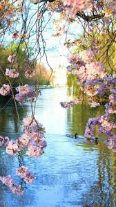 Le Temps Qui Passe Dans Le Jardin D 39 Eugenie Beautiful Nature Beautiful Landscapes Nature Photography