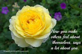 How You Make Others Feel Inspirational Quote Inspirational Quotes Flower Quotes Rose Quotes