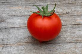 Tomatoes The 2019 Highs And Lows The Chatty Gardener