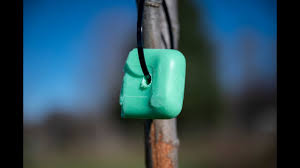 Shop for irish spring bar soap in bath & body. Irish Spring Deodorant Soap As A Deer Skunk Fox Rabbit Or Coyote Repellent Skunks Will Eat It Youtube