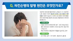 For faster navigation, this iframe is preloading the wikiwand page for 파킨슨병. ê°€í†¨ë¦­ëŒ€í•™êµ ì—¬ì˜ë„ì„±ëª¨ë³'ì›