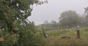 During the mediaval times dardania castles were strongholds of dukagjini family with their numerous castles along has and prizren, peje and millosh kopili, who killed the sultan during the kosovo battle. Ku Eshte Varri I Millosh Kopiliqit Video