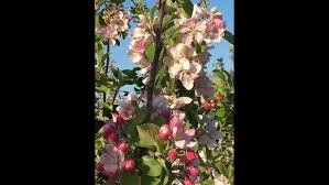 FB Live Session No.40 Wendy Stacey