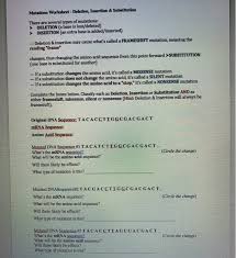 Delahunty/biology honors mutations worksheet name key there are several types of mutation: Mutations Worksheet Answer Key Part 1