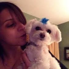 Tina Miceli (@paws_n_effect)