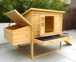 Cleaning your backyard chicken coop and nesting boxes necessitates exact steps. Chicken Coop Dorset