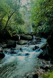 Here is karnataka goa boarder belgaum jamboti chikle parwad waterfalls where just 40 km from belgaum karnataka where u can. Belagavi Belgaum Places To Visit In Belgaum