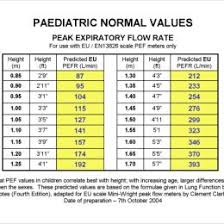 Peak Flow Meter 134405559613 Asthma Peak Flow Meter Chart