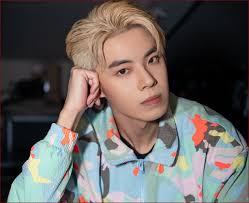 Diana Danielle files for divorce from Farid Kamil, again