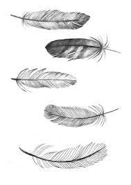 ﻿ 41 tattoo vorlagen und zeichnungen (kostenlos zum ausdrucken). Feathers Feder Zeichnung Federtattoos Federtattoo