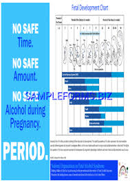 Fetal Development Chart Pdf Free 1 Pages