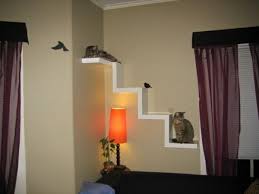 Katzen Kletterwand Weisses Treppenhaus Ikea Mangel Katzenmobel Ikea Lack Regal