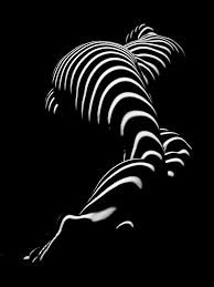 0774-AR Zebra Striped Figure of a Large Woman Fine Art Photograph by Chris  Maher Photograph by Chris Maher