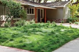 A grass lawn takes a lot of maintenance. Blog