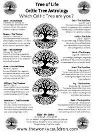 Tree Of Life Celtic Tree Astrology Celtic Tree Astrology Celtic Zodiac Celtic Astrology