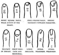 Nail Reading Study Of Nails Palm Reading Palmistry Reading