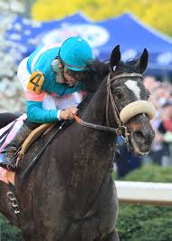 Today's oaklawn park horse racing picks: Pin By Dawn Cotter On Arkansas Naturally Thoroughbred Horse Racing Horses Zenyatta Horse