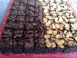 Brownies adalah sejenis kek leper yang selalunya berbentuk empat segi. Resepi Brownies Easy Bake Lab
