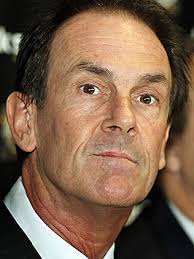 Lions face decade of pain: Terry Wallace