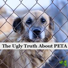 It was founded in march 1980 by ingrid newkirk and alex pacheco and is currently led by newkirk. The Ugly Truth About Peta They Re Not What You Might Think
