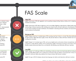 Emotional Medical Record Fas Scale