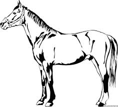 Plantillas de dibujo de caballos kubnelipop cf. Dibujo De Un Bello Caballo
