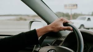 Dementia Resources — Aotearoa Brain Project